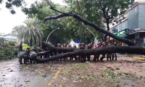 台风山竹的威力及形成原因（了解台风山竹）