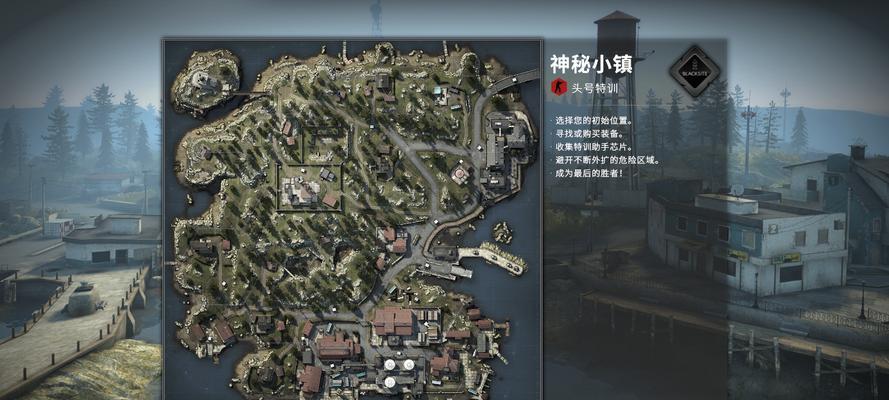 《提升CSGO画质，让游戏更精彩》（调整画质设置）