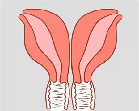 如何提高以子宫后位的受孕率（掌握关键技巧）