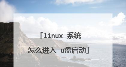 新手如何用U盘制作启动盘进入PE系统？教程步骤是什么？